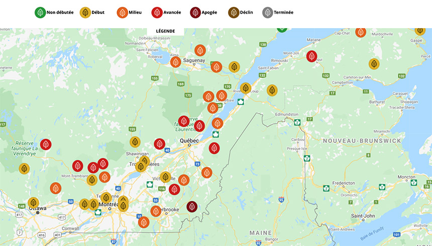 Conseils Une Carte Interactive Pour Suivre L Evolution Des Couleurs D Automne Espaces